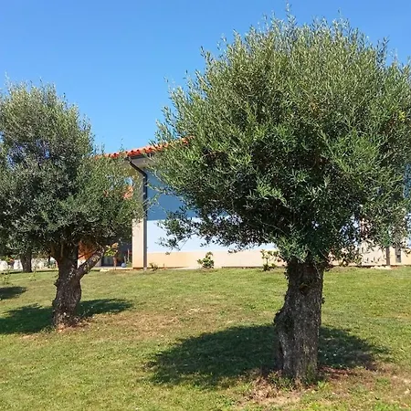 Jardim Oliveiras - Com Vista 3* Ponte de Lima