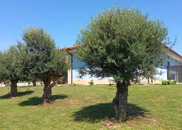 Jardim Oliveiras - Com Vista 3* Ponte de Lima